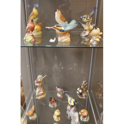 93 - 13 ROYAL WORCESTER GARDEN BIRDS