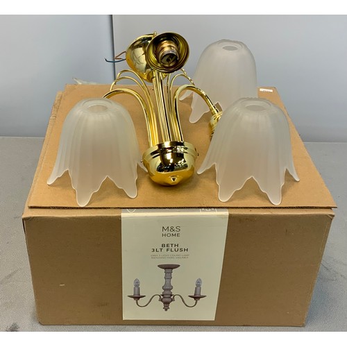 161 - 3 LIGHT CEILING LIGHT