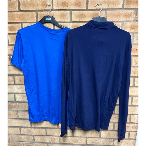 17 - LACOSTE NAVY LONG SLEEVE TOP SIZE LARGE & LACOSTE T SHIRT - BLUE - SIZE LARGE - Total RRP £135 (... 