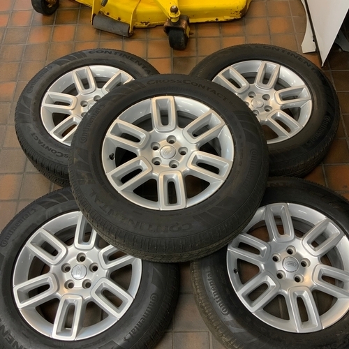 Lot 24        