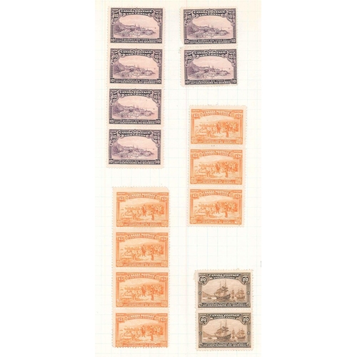 169 - Canada; 1870-1908 impressive quantity of unused (no gum) stamps mainly from 1898-1902 Numerals and 1... 