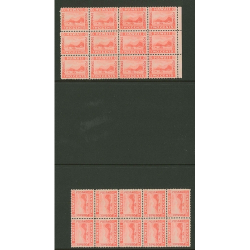 188 - Hawaii; attractive selection of multiples comprising 1893 2c slate-violet (41 in various multiples),... 