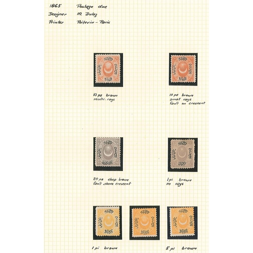 261 - Turkey; 1865-76 fine collection written-up on pages of the Star and Crescent issues. Majority is min... 