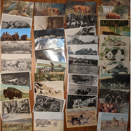 1241 - Postcards; Animals; mixed bundle of artistic and photographic, mainly wild animals (largely African)... 