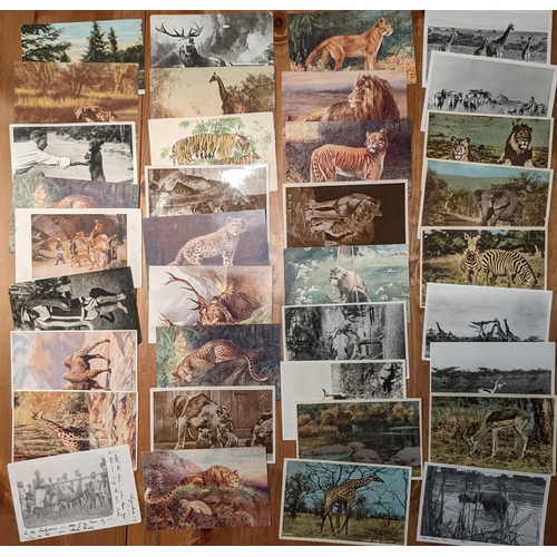 1241 - Postcards; Animals; mixed bundle of artistic and photographic, mainly wild animals (largely African)... 