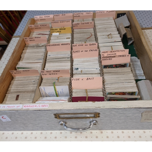 68 - Cigarette and Trade Cards; a large stock of mainly odd cards organised in seven drawers by company a... 