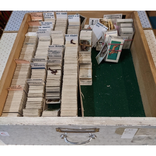 68 - Cigarette and Trade Cards; a large stock of mainly odd cards organised in seven drawers by company a... 