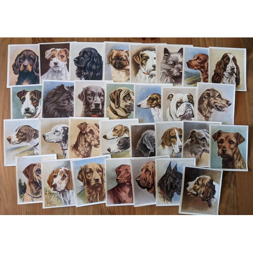 1056 - Cigarette Cards; Godfrey Phillips; 1939 Our Dogs (size M) set (30) mainly v.f., cat.£19½... 