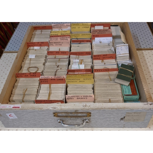 39 - Cigarette and Trade Cards; a large stock of mainly odd cards organised in seven drawers by company a... 