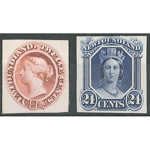 134 - Canada; Newfoundland; 1865-70 12c and 24c each imperforate on thin card, ungummed. Possibly die proo... 