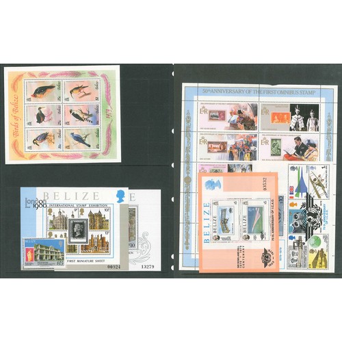 1381 - British Honduras/Belize; 1971-85 seln. of 12 different u.m. miniature sheets/sheetlets, cat.£8... 