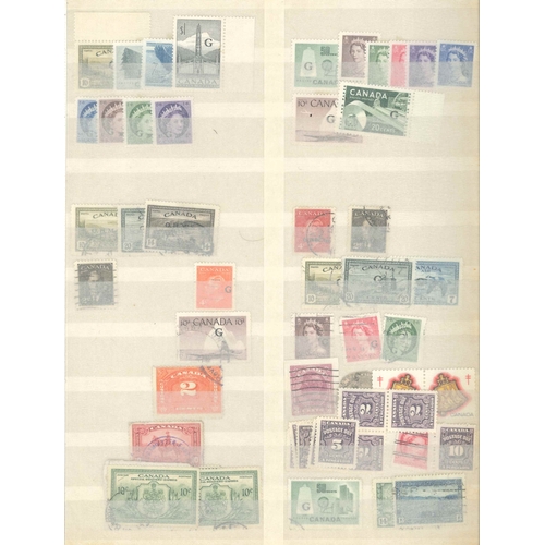 39 - Canada; two stockbooks (each 32-sides) of early to fairly modern stamps, majority used (more mint la... 