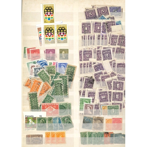 39 - Canada; two stockbooks (each 32-sides) of early to fairly modern stamps, majority used (more mint la... 