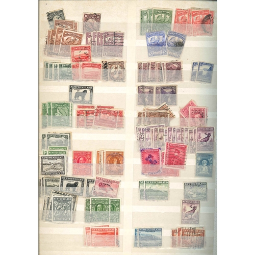 39 - Canada; two stockbooks (each 32-sides) of early to fairly modern stamps, majority used (more mint la... 