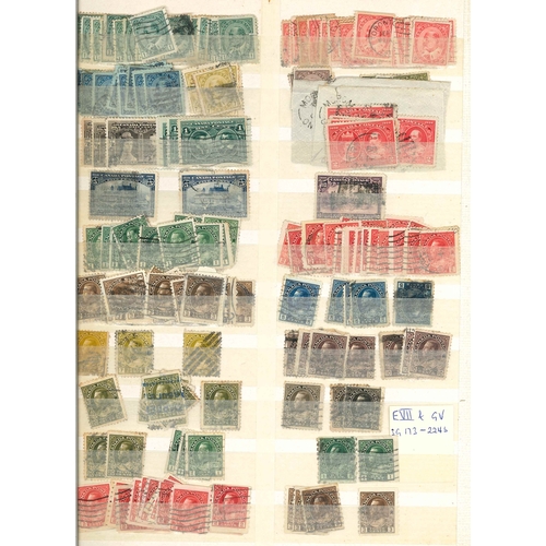 39 - Canada; two stockbooks (each 32-sides) of early to fairly modern stamps, majority used (more mint la... 