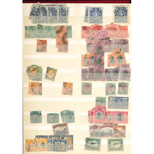 308 - South Africa; stockbook (27 sides with stamps) with stock, often duplicated, of Cape of Good Hope (1... 