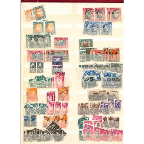 308 - South Africa; stockbook (27 sides with stamps) with stock, often duplicated, of Cape of Good Hope (1... 