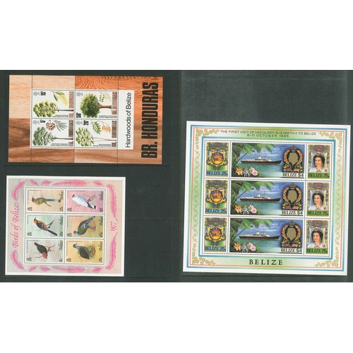 1437 - British Honduras/Belize; 1971-85 seln. of 12 different u.m. miniature sheets/sheetlets, cat.£8... 