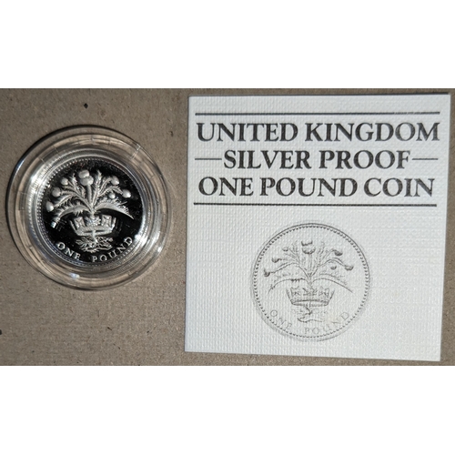 1135 - UK Coins; 1984 £1 silver proof in capsule.