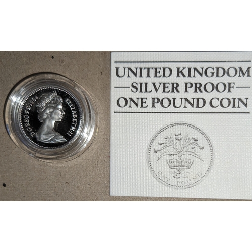 1135 - UK Coins; 1984 £1 silver proof in capsule.