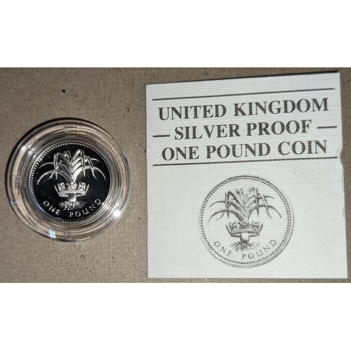 1134 - UK Coins; 1985 £1 silver proof in capsule.