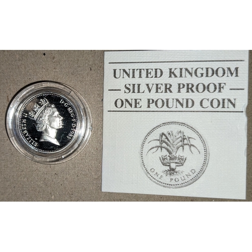 1134 - UK Coins; 1985 £1 silver proof in capsule.