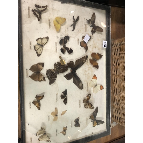 328 - VINTAGE FRAMED BUTTERFLIES