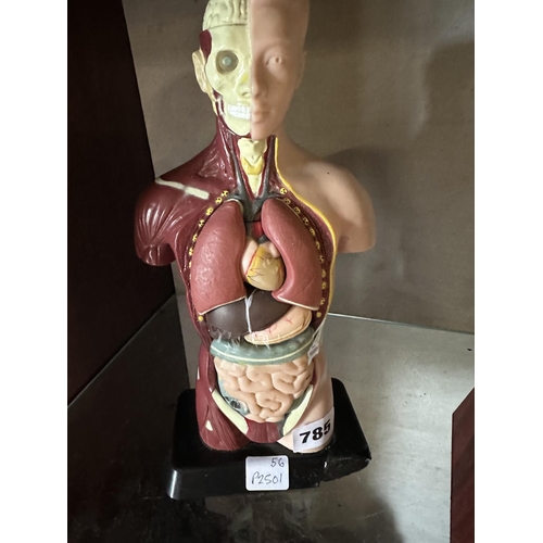 785 - MEDICAL FIGURE WITH REMOVABLE BITS