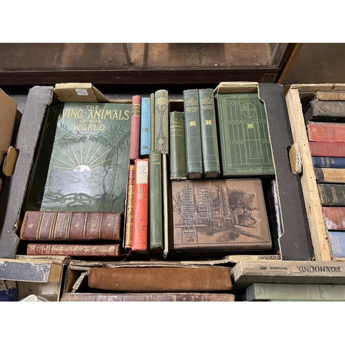 74 - x3 BOXES OF VERY OLD BOOKS