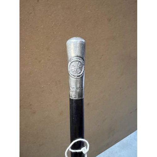 194 - SILVER TOP SWAGGER STICK