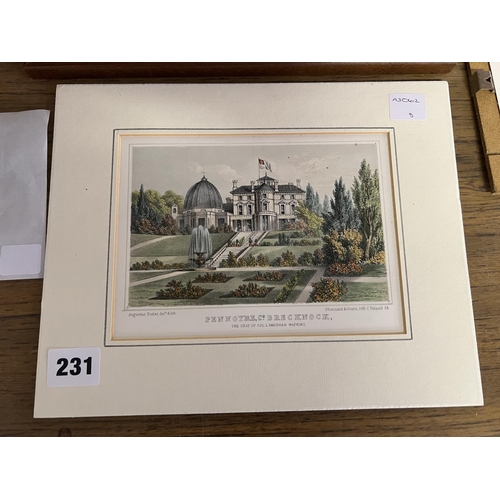 Lot 231       