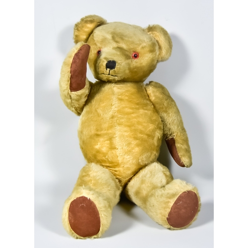 Lot 294       