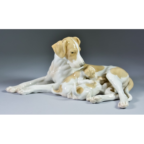 71 - A Bing and Grondahl Porcelain Model of a Pointer with Puppies, stamped and numbered 2111, 12ins long... 