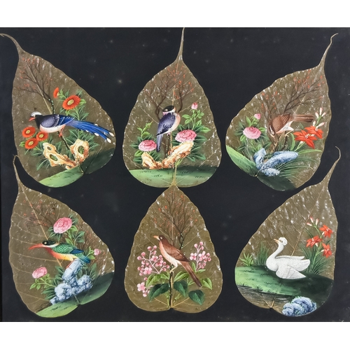 Lot 27        