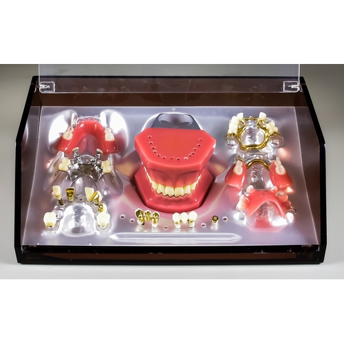 1303 - A Selection of Dentures and Teeth, some with gold colour and white colour metal mounts, contained is... 