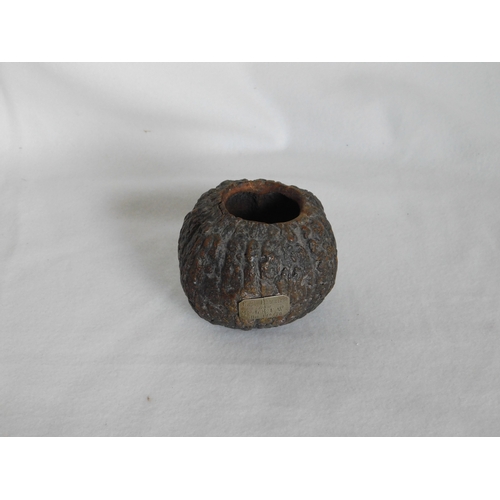 Lot 242       