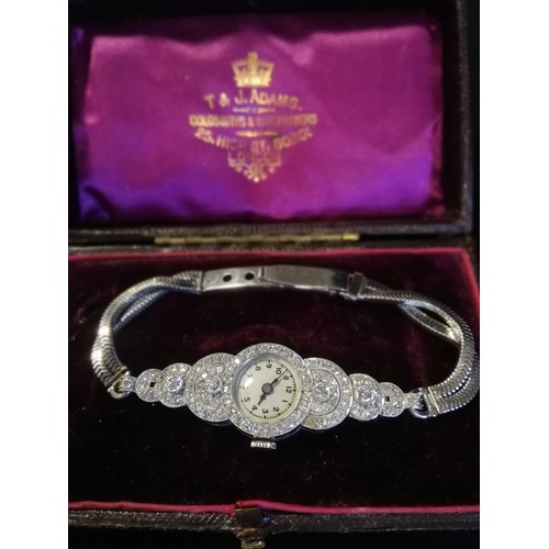 38 - Platinum & diamond ladies cocktail watch on 9ct white gold bracelet - Vertex manual wind movement
