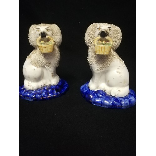 164 - Pair of Staffordshire spaniels with baskets of flowers held in mouths
-5½