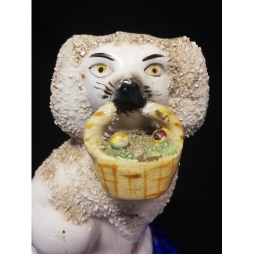 164 - Pair of Staffordshire spaniels with baskets of flowers held in mouths
-5½