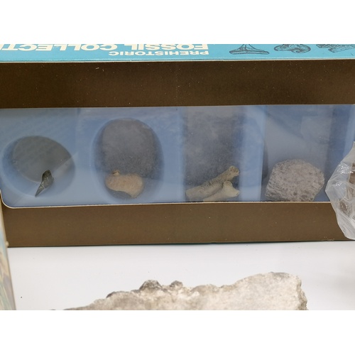 45 - Chiver fossil collection + SS Great Britain set + oddments