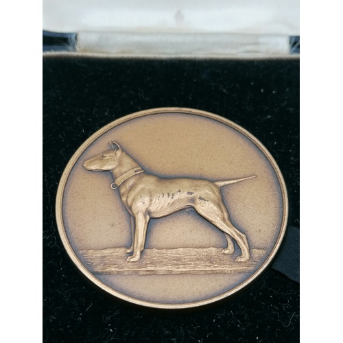 197 - Bull terrier club medal by F Phillips Aldershot