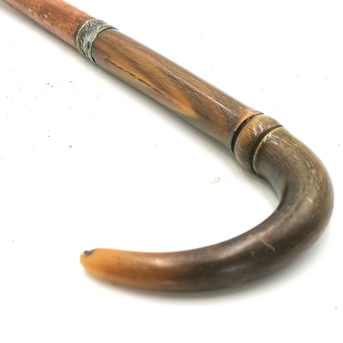 316 - Antique horn handle walking cane - handle 5