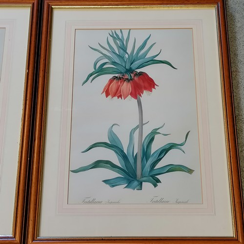 548 - 4 framed botanical prints - 27