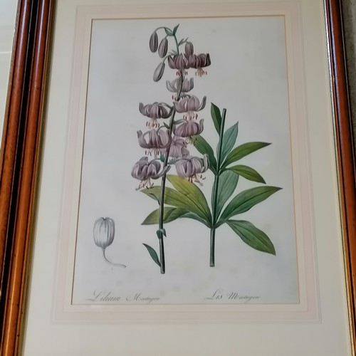 548 - 4 framed botanical prints - 27