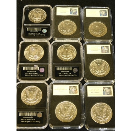 461 - 9 x USA silver dollars - 2 x 1880 (S & O), 1885 (O), 1891 (CC), 5 x 1921 (2 x -, 2 x D, S)