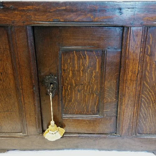 592 - 18th century oak panelled wall cabinet with single door - 28½