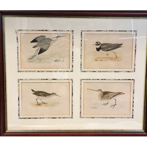 660 - Framed set of 4 bird prints hand tinted t/w 2 framed lots of cigarette cards.