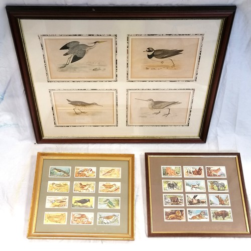 660 - Framed set of 4 bird prints hand tinted t/w 2 framed lots of cigarette cards.