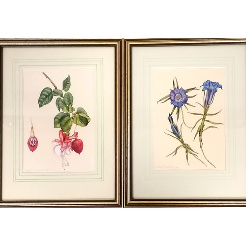 684 - Pair of original watercolour flower studies by Kristin Rosenberg (b.1933) - 11½