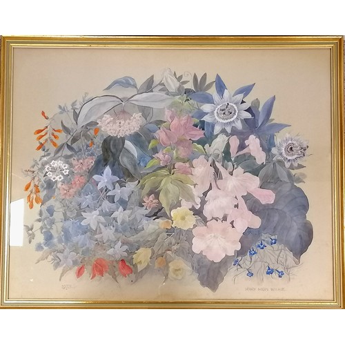 691 - 1973 original watercolour of flowers by Mary Mein Wilkie - 25½